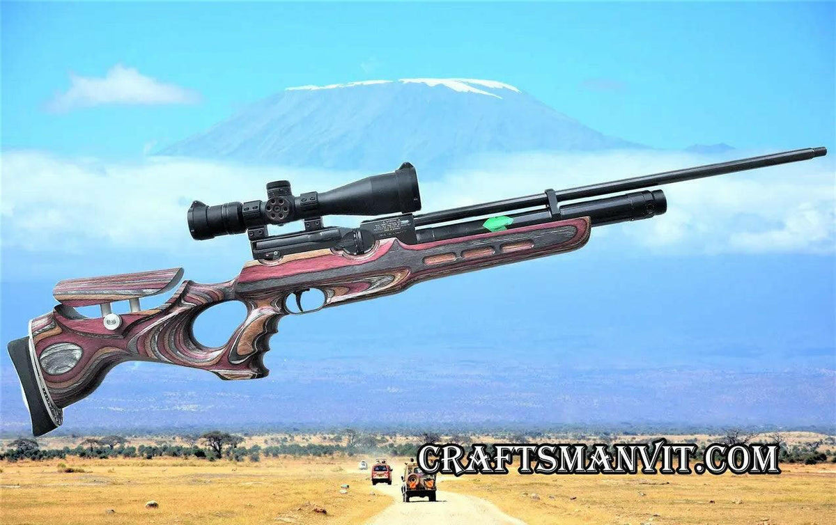 Weihrauch HW100 custom stock FT design coral snake on a scenic backdrop of Kilimanjaro