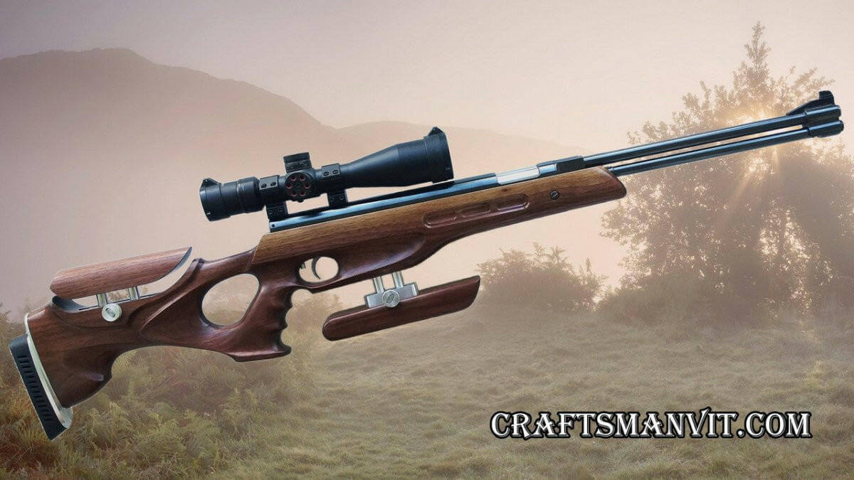 Weihrauch HW77 HW97 custom stock walnut FT Edition+ with scope in a scenic outdoor setting.